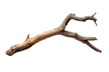 Naklejka premium Broken tree branch isolated on transparent and white background.PNG image 