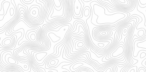 Vector lines pattern seamless sea map topography design. White wave paper curved reliefs Contour maps.