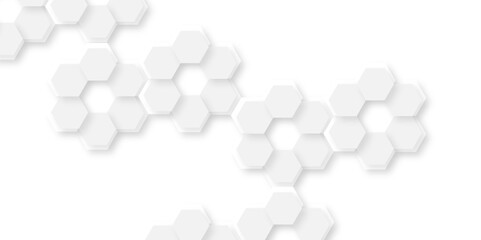 Abstract technology hexagonal background. Illustration of a white background with hexagonal template. White hexagon honeycombs background. Hexa gray Abstract Geometric Wide Banner Design.