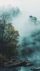Foggy Forest River Landscape: Tranquil Nature Scene