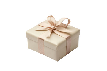 Fototapeta premium Gift delivery separated from white background