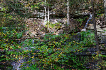 Waterfall through the Trees on the Four Mile Run Creek by the Turkey Path Trail in Leonard Harrison State Park, in Watson Township, Pennsylvania.