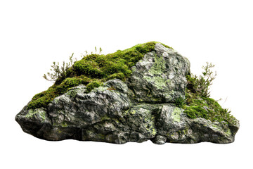 Mossy rock in stream isolated on transparent background,PNG image.