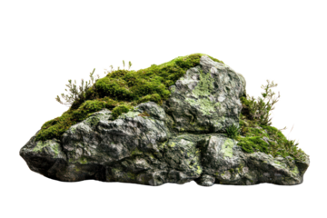 Mossy rock in stream isolated on transparent background,PNG image.