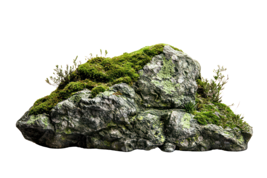 Mossy rock in stream isolated on transparent background,PNG image.