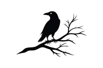 Obraz premium A striking vector illustration of a raven bird silhouette perched on a tree branch, perfect for spooky designs, Halloween projects, or nature-themed artworks with a gothic twist.