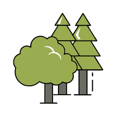 christmas tree illustration