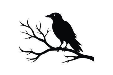 A striking vector illustration of a raven bird silhouette perched on a tree branch, perfect for spooky designs, Halloween projects, or nature-themed artworks with a gothic twist.