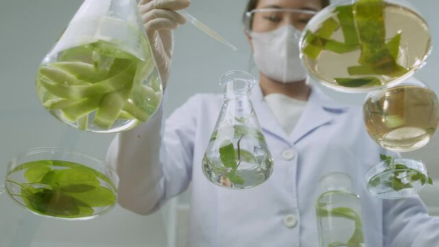 A scientist in a modern lab is seen in a video template taken from the bottom up, dropping solution into a flask holding new herbal solution next to petri plates containing various herbal constituents