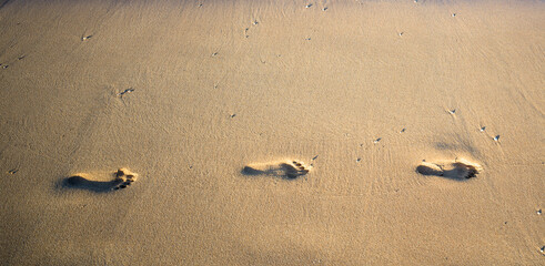 Footprints on a Sandy  Beach in Hawaii.