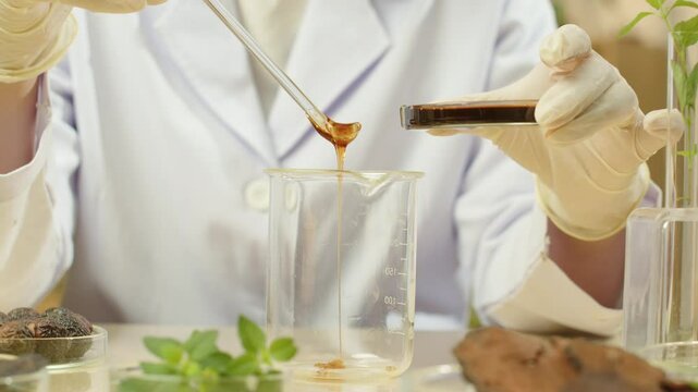 A scientist is shown in close-up video pouring shampoo samples from a petri plate into a glass beaker. Fresh and dried herbs as well as soapberry fruits in petri dishes are arranged on the table.