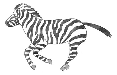 横から見たしまうまのイラストです。