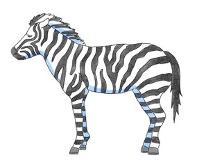 横から見たしまうまのイラストです。