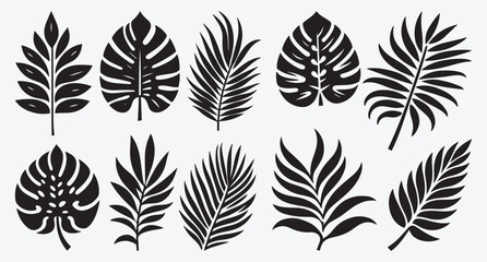 Fototapeta premium Tropical Leaves Silhouette Bundle Clip Art Vector Illustration Isolated on White Background 