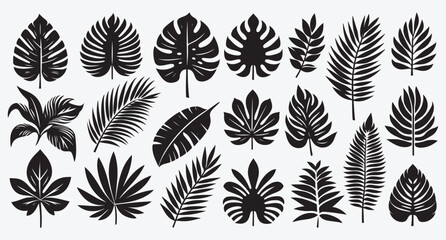 Tropical Leaves Silhouette Bundle Clip Art Vector Illustration Isolated on White Background 