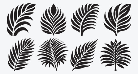 Tropical Leaves Silhouette Bundle Clip Art Vector Illustration Isolated on White Background 