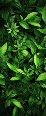 Dense green foliage with a variety of leaves, perfect for nature themes.
