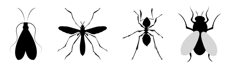 insect icon