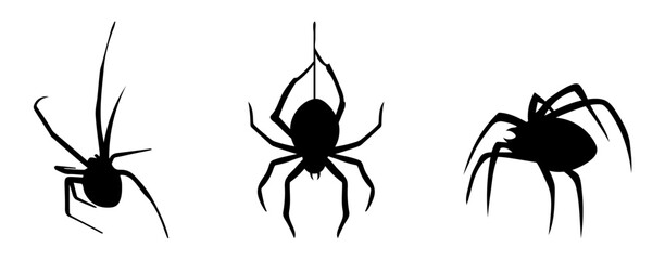 black spider silhouette