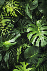 abstract green leaf texture, tropical leaf foliage nature dark green background
