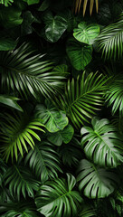 abstract green leaf texture, tropical leaf foliage nature dark green background

