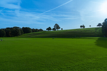 lawn, tree and natural beauty of public parks