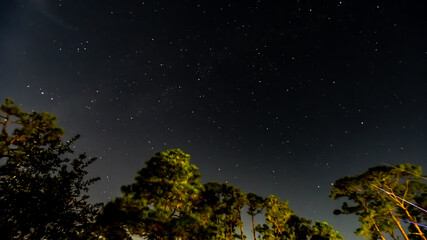 Night October Skies in Orange Beach, Alabama, Moon, Stars, Trees