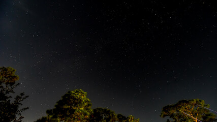 Night October Skies in Orange Beach, Alabama, Moon, Stars, Trees