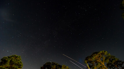 Night October Skies in Orange Beach, Alabama, Moon, Stars, Trees