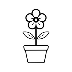 flower in a pot