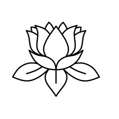 lotus flower isolated on white