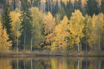 A scenic landscape with a calm lake surrounded by a dense forest of trees in autumn colors