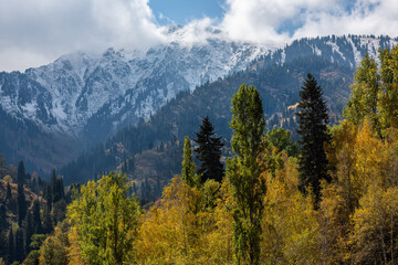Mountain slopes and autumn forest on a sunny day