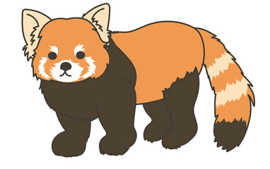 レッサーパンダ01