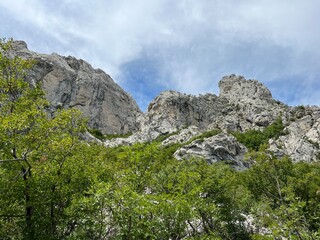 Limestone rocks in Velika Paklenica canyon,Starigrad (Paklenica National Park, Croatia) - Kalksteinfelsen in der Schlucht Velika Paklenica, Starigrad (Nationalpark Paklenica, Kroatien)