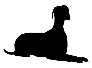 Vector black silhouette of a dog lies isolated on a white background.