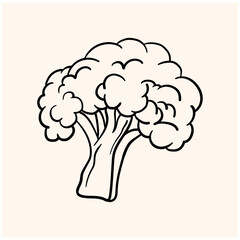 illustration of broccoli With illustration style doodle and line art