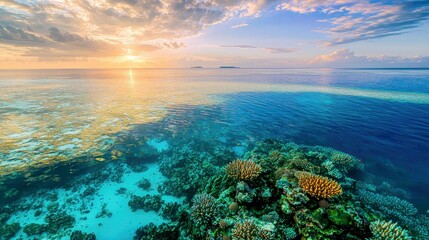 Obraz premium A scenic view of a coral reef with a breathtaking sunset in the background.