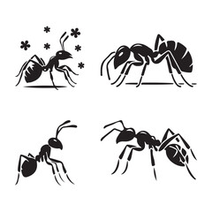 An art vector of black ants on a white background