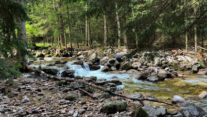 A small mountain river with a flow of water in the Polish mountains. Eastern Sudetes © PRO Balance
