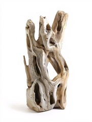 A captivating sculpture of driftwood features elaborate textures and forms, beautifully created from natural materials against a pristine white backdrop.