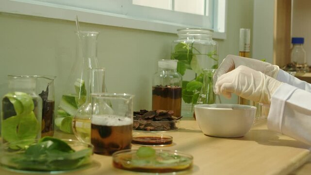 The video showcases a scientist breaking dried herbs from a petri dish into a mortar, surrounded by glassware containing other herbs and experimental fluids.