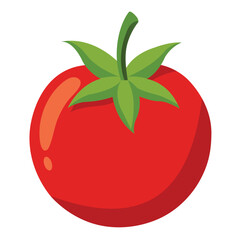 Illustration of a Tomato Fruit isolated on white