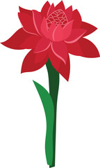 Obraz premium Flower on white background. Vector illustration.