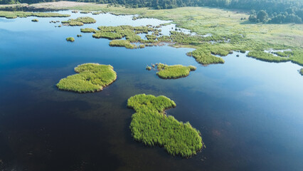 Blue Lake with Green Reed Islands Aerial View