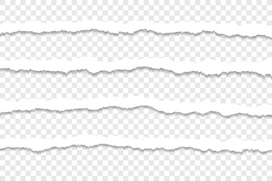 Realistic torn paper strips with transparent background