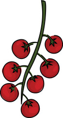 Tomato cartoon on white background. Vector illustration.