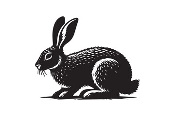 Cottontail Rabbit silhouette vector illustration, Cottontail Rabbit silhouette 
