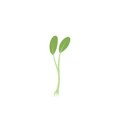 Microgreen Plants Illustration 