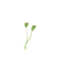 Microgreen Plants Illustration 